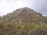 Recorrido Padul 05-2012 000